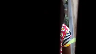 Desi Pee and Piss4&period;AVI